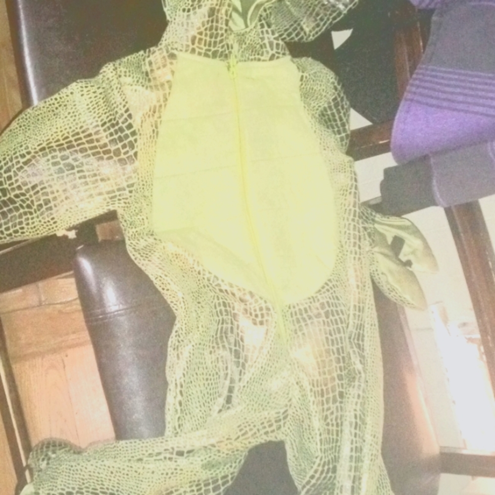 Dinosaur costume